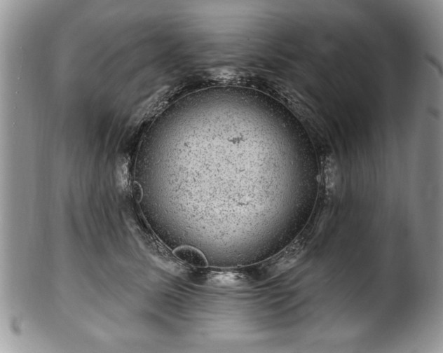 X0000100390611200806130953