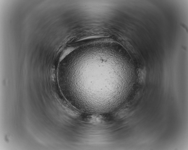 X0000100390612200806130953