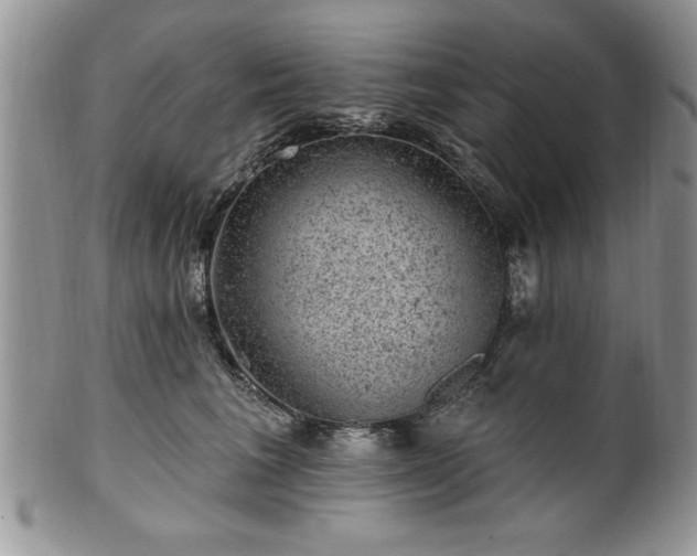 X0000100390613200806130953