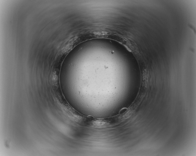 X0000100390614200806130953