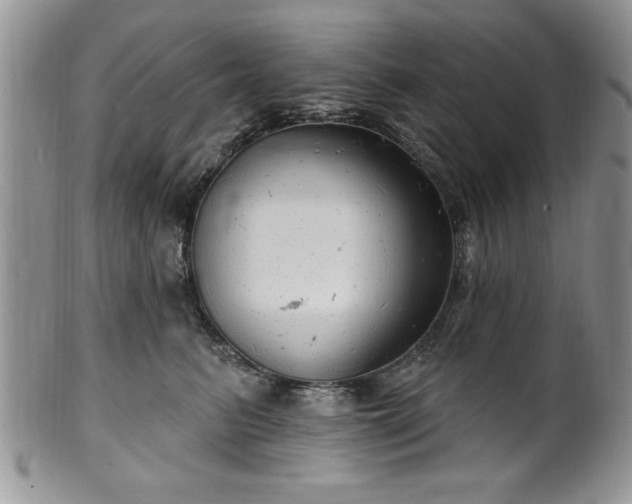 X0000100390615200806130953