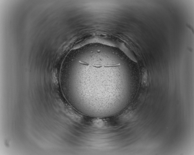 X0000100390616200806130953