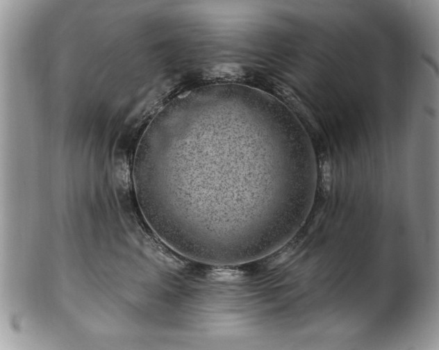 X0000100390617200806130953