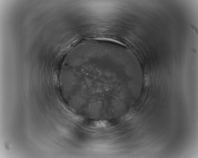 X0000100390618200806130953