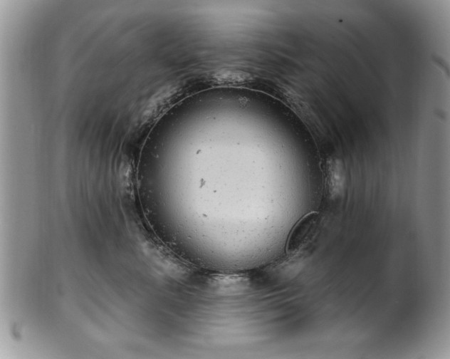 X0000100390619200806130953