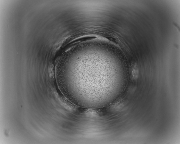 X0000100390620200806130953