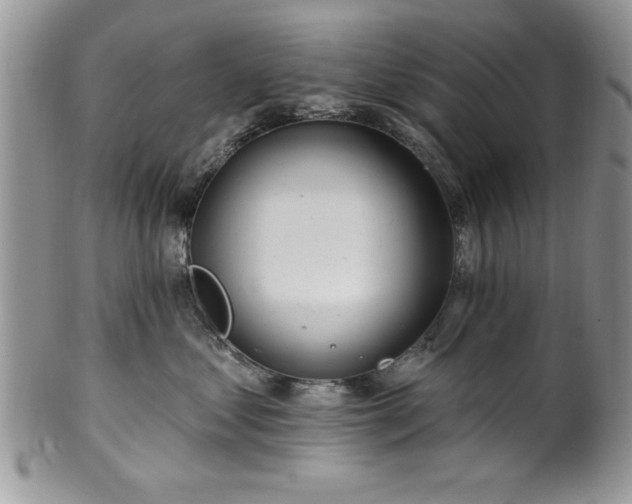 X0000100390621200806130953