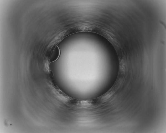 X0000100390622200806130953