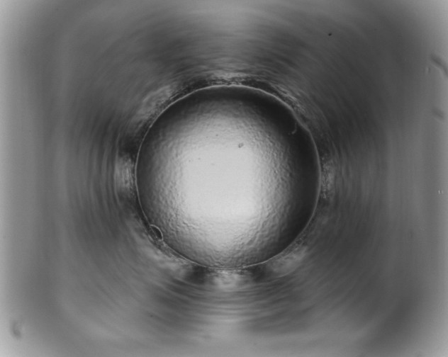 X0000100390623200806130953