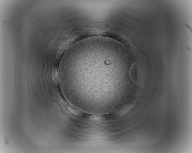 X0000100390624200806130953