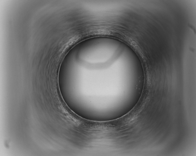 X0000100390625200806130952