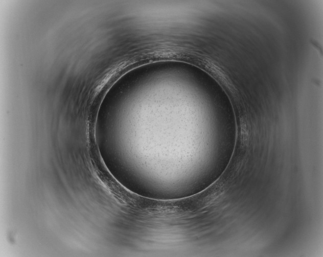 X0000100390626200806130952