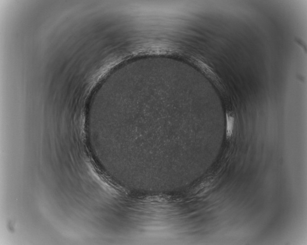 X0000100390627200806130952