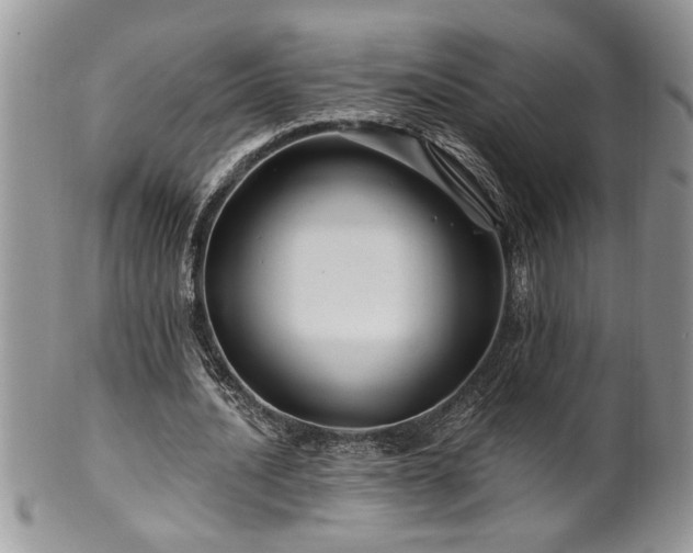 X0000100390628200806130952