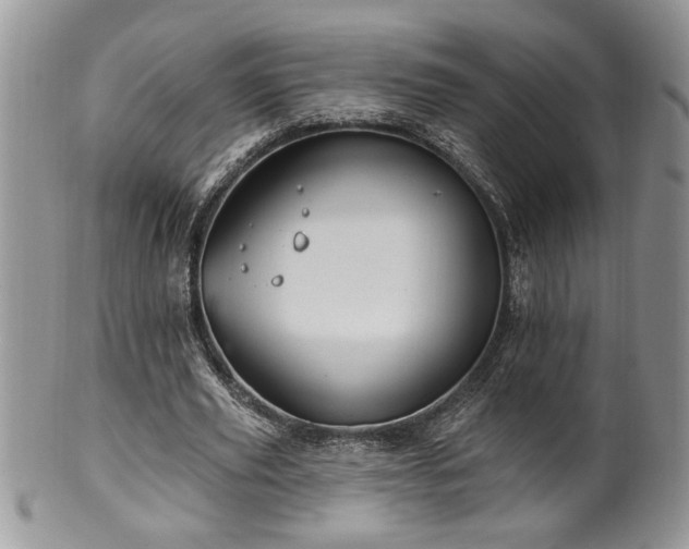 X0000100390629200806130952