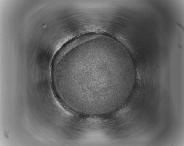 X0000100390630200806130952