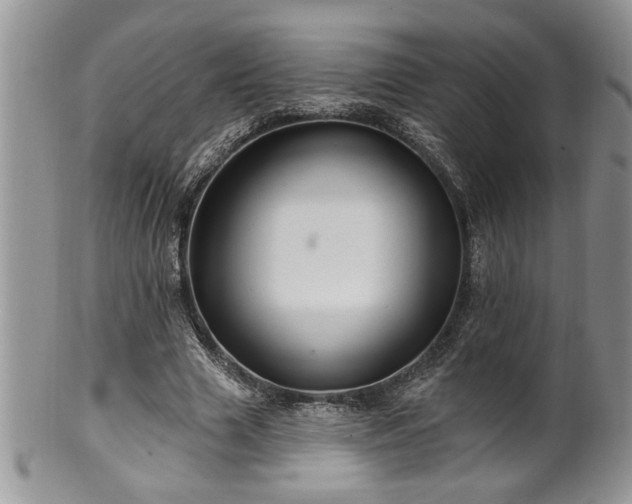 X0000100390633200806130952