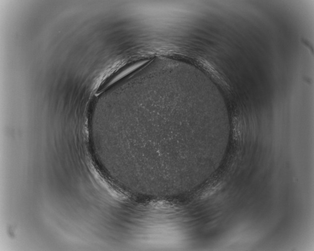 X0000100390634200806130952