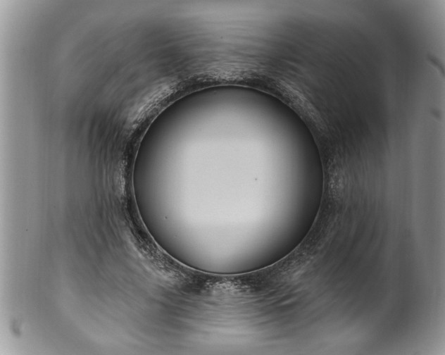 X0000100390635200806130952