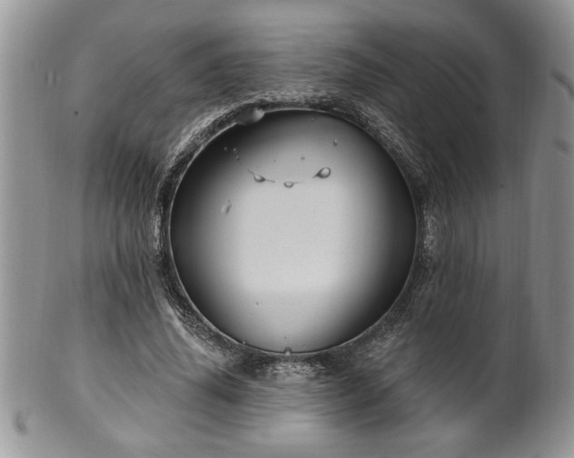 X0000100390636200806130952