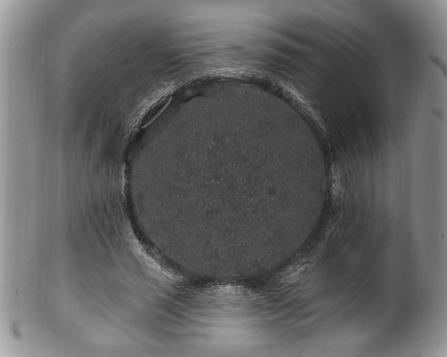 X0000100390637200806130952