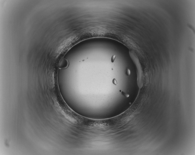 X0000100390638200806130952