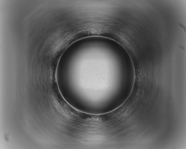 X0000100390639200806130953