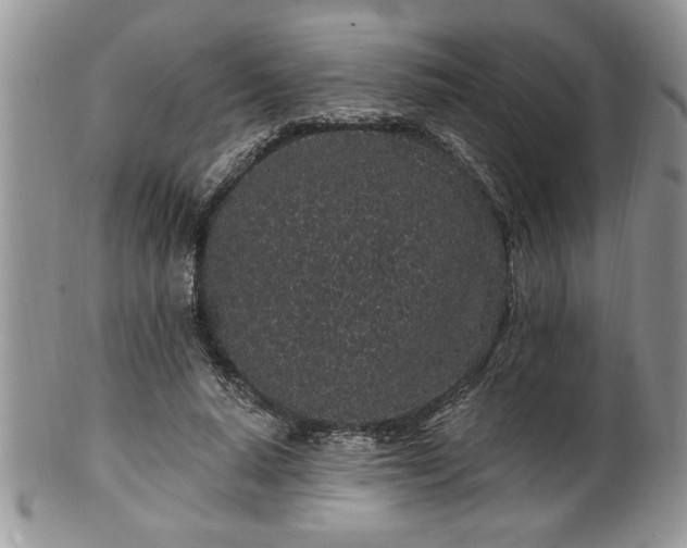 X0000100390640200806130953