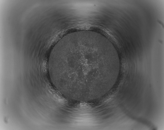 X0000100390641200806130953