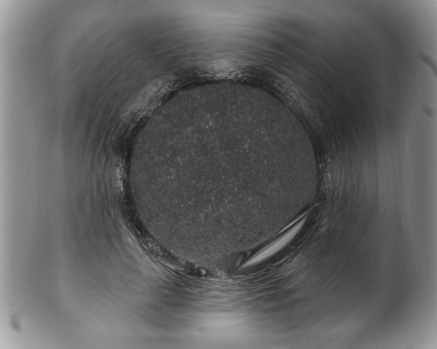 X0000100390643200806130953