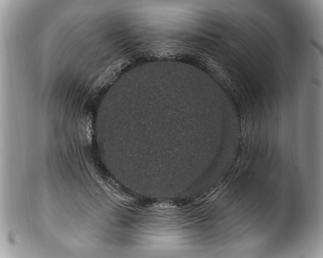 X0000100390644200806130953