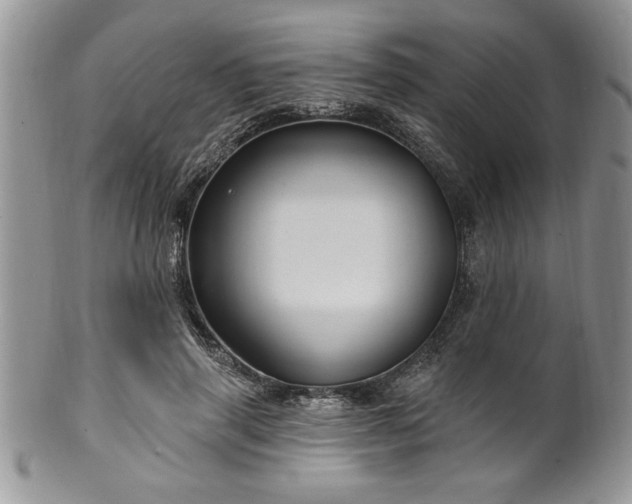 X0000100390645200806130953