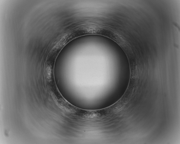 X0000100390646200806130953