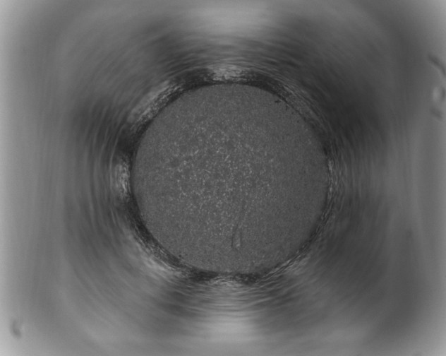 X0000100390648200806130953