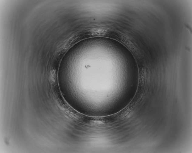 X0000100390649200806130953