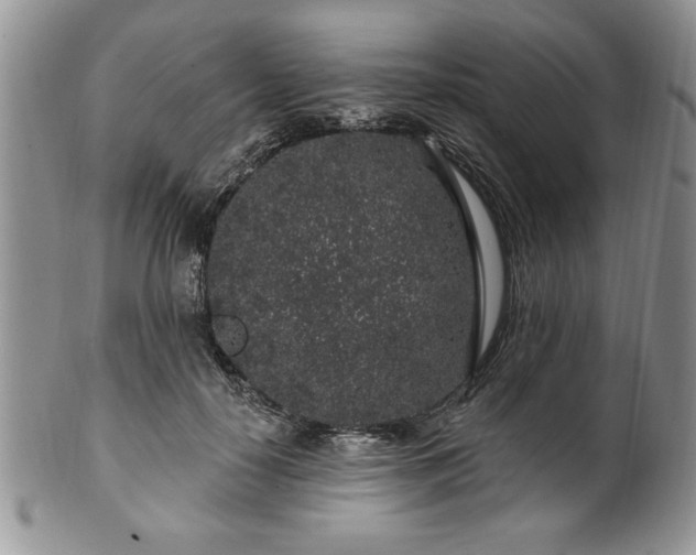 X0000100390650200806130953