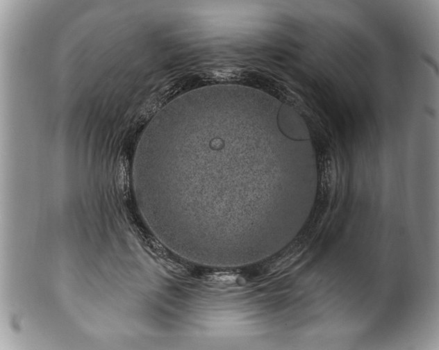 X0000100390651200806130953