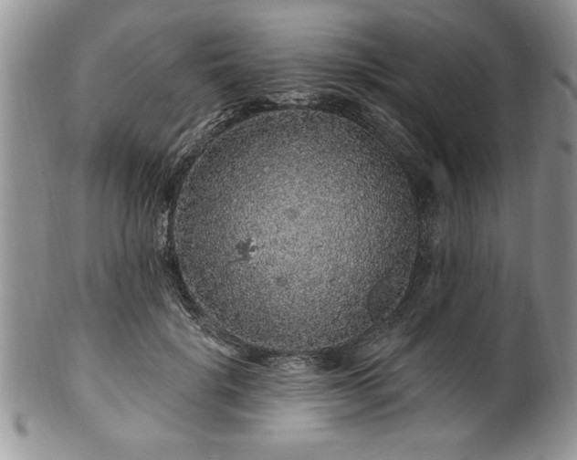 X0000100390652200806130953