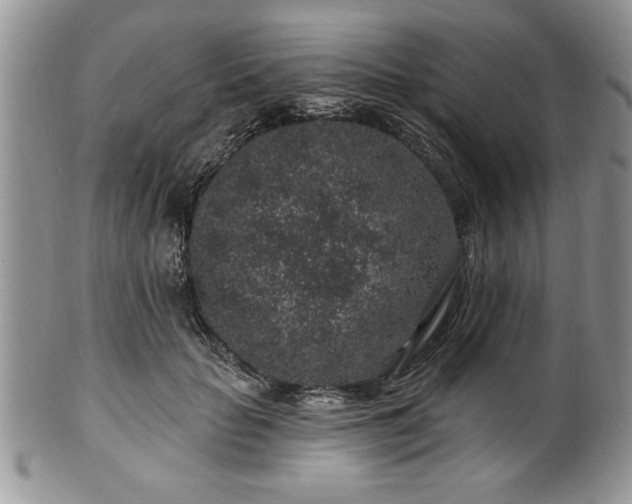 X0000100390653200806130953