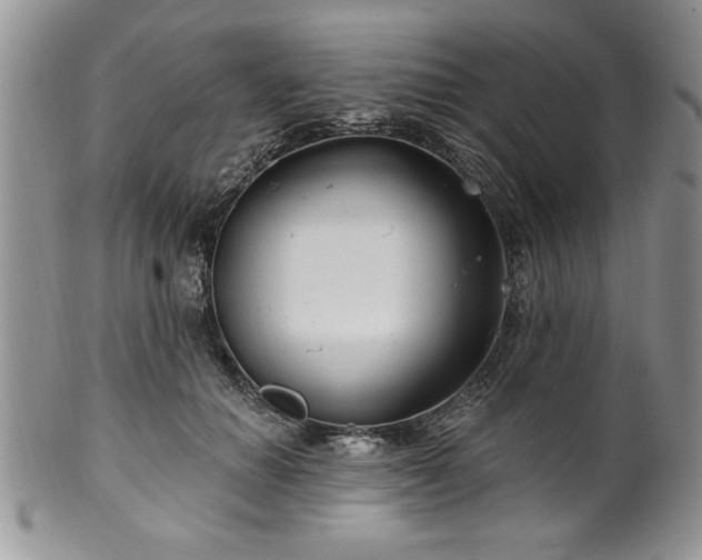 X0000100390654200806130953