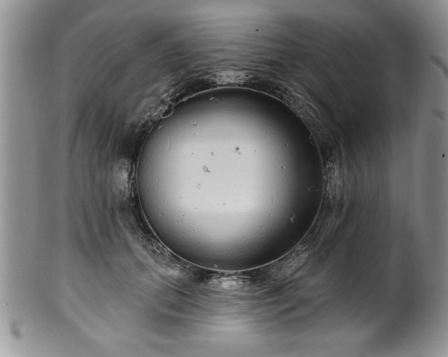 X0000100390655200806130953