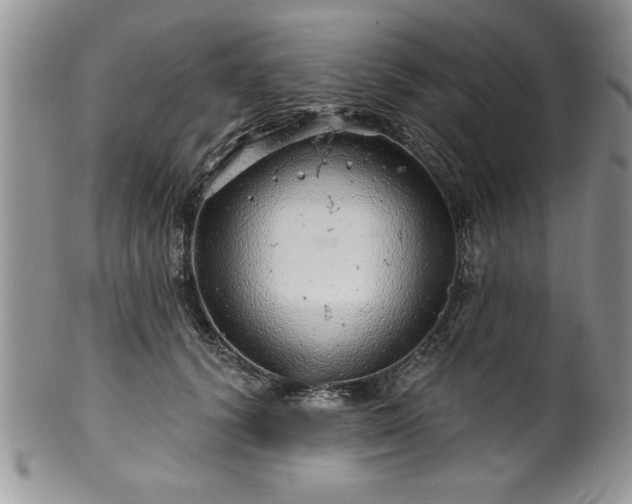 X0000100390656200806130953