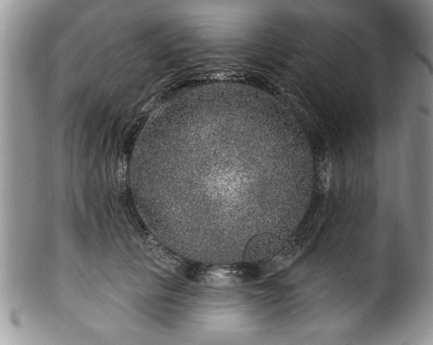 X0000100390657200806130953