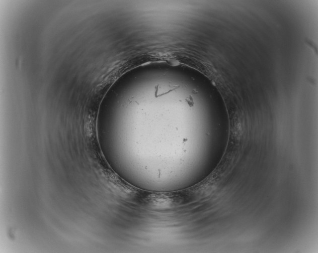 X0000100390658200806130953