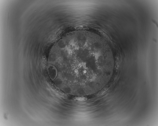 X0000100390659200806130953