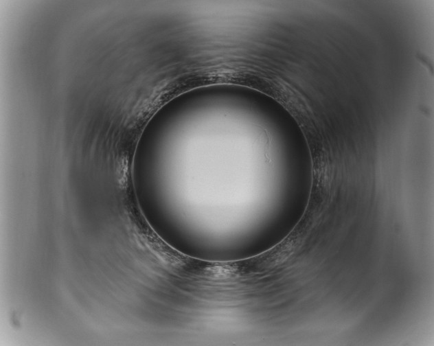 X0000100390660200806130953