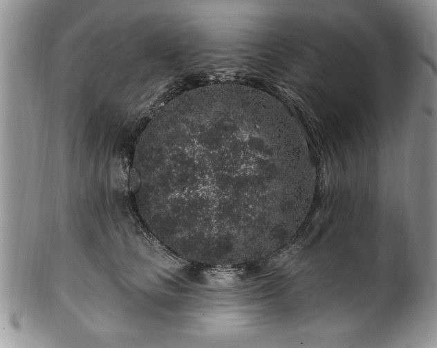 X0000100390661200806130953