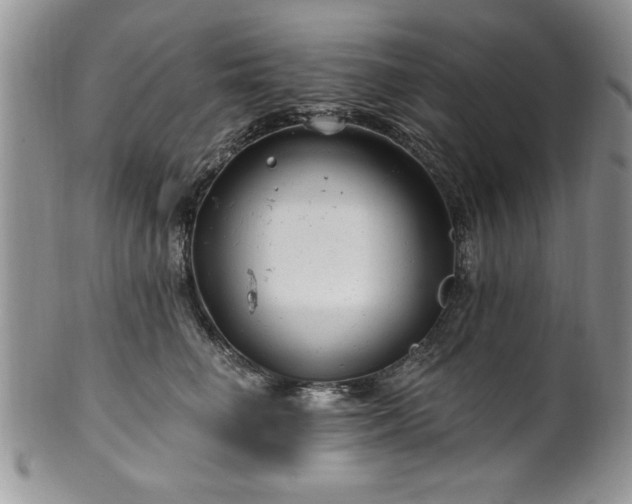 X0000100390662200806130953