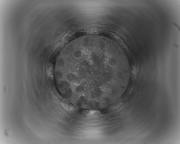 X0000100390663200806130953