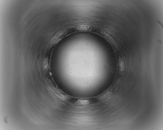 X0000100390665200806130953